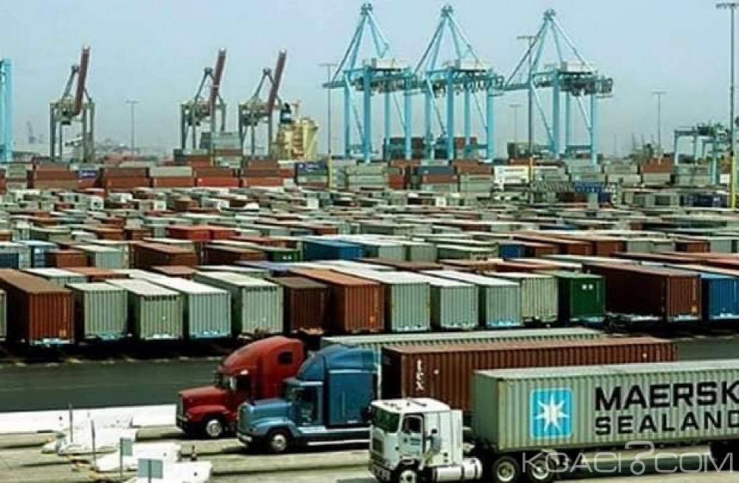 Cameroun :  Le français Bolloré mis hors course pour l'exploitation du terminal à  conteneurs du Port de Douala