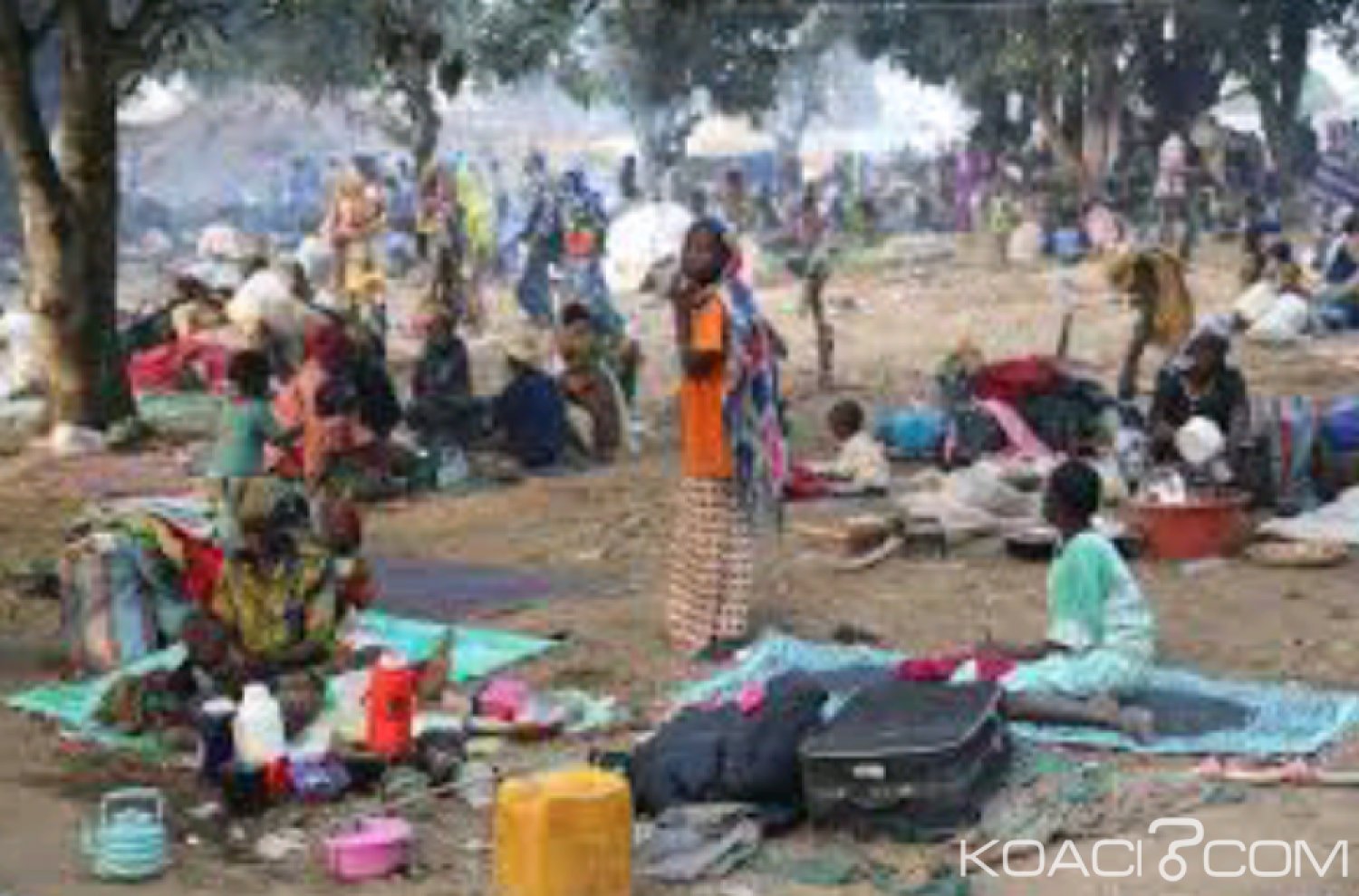 Cameroun : Au moins dix corps sans vie découverts dans l'Adamaoua