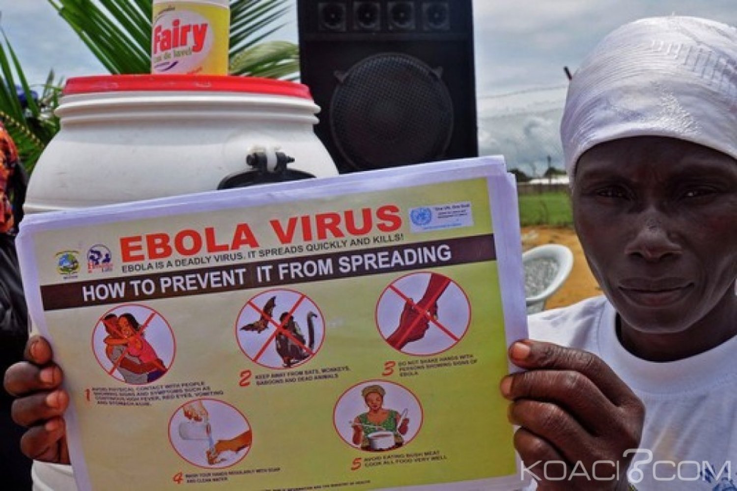 Liberia : Découverte du virus Ebola sur une chauve-souris à  Nimba