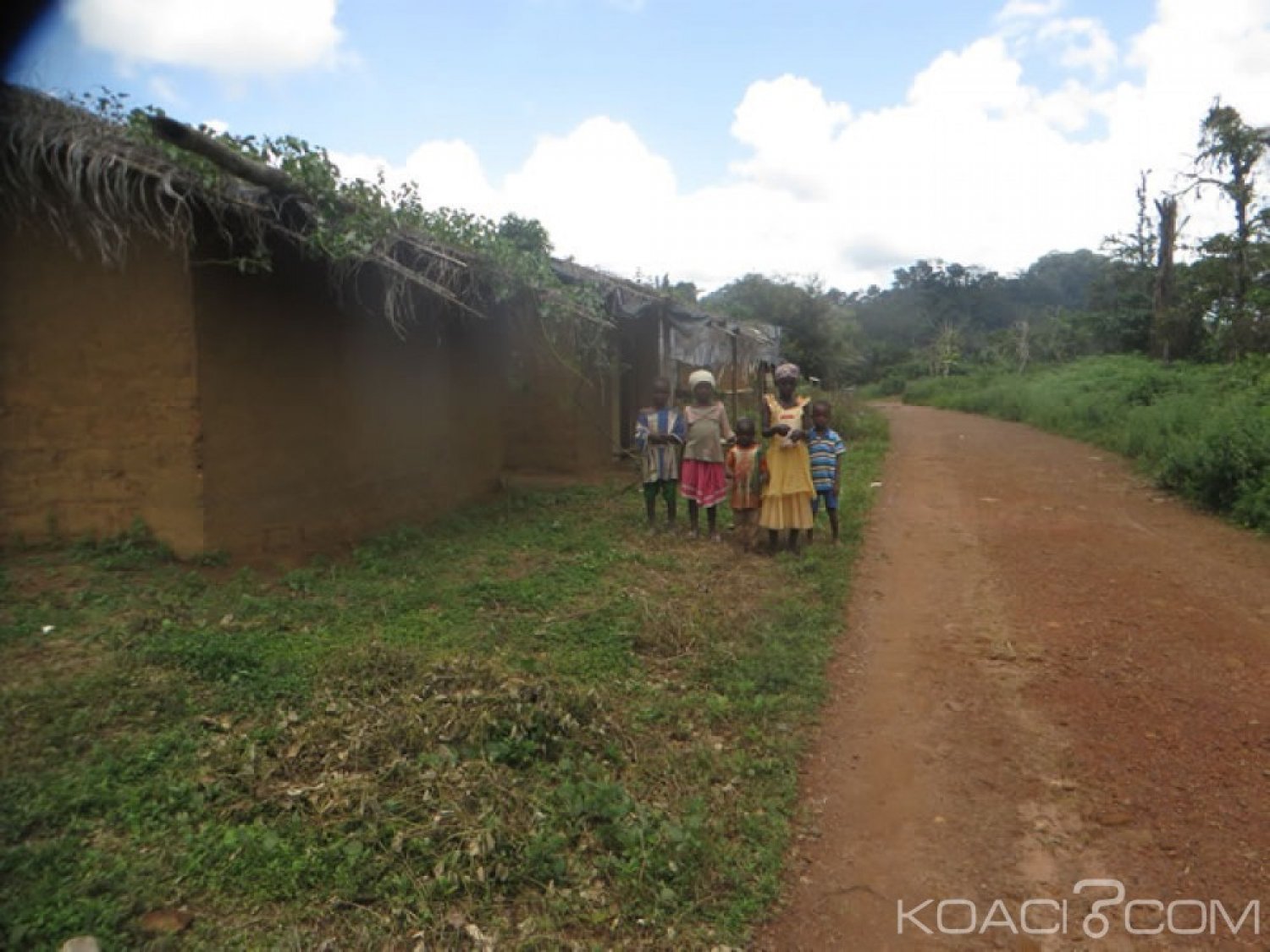 Côte d'Ivoire : Les habitants de la forêt classée de Tiapleu (Danané) déguerpis en février prochain