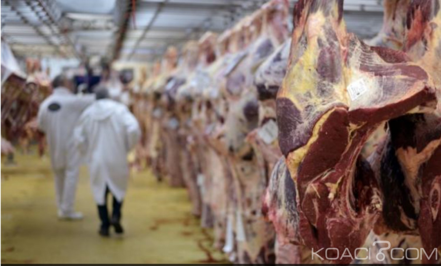 Côte d'Ivoire : 2,7 tonnes de viande avariées de provenance d'un abattoir  en Pologne, Abidjan rassure
