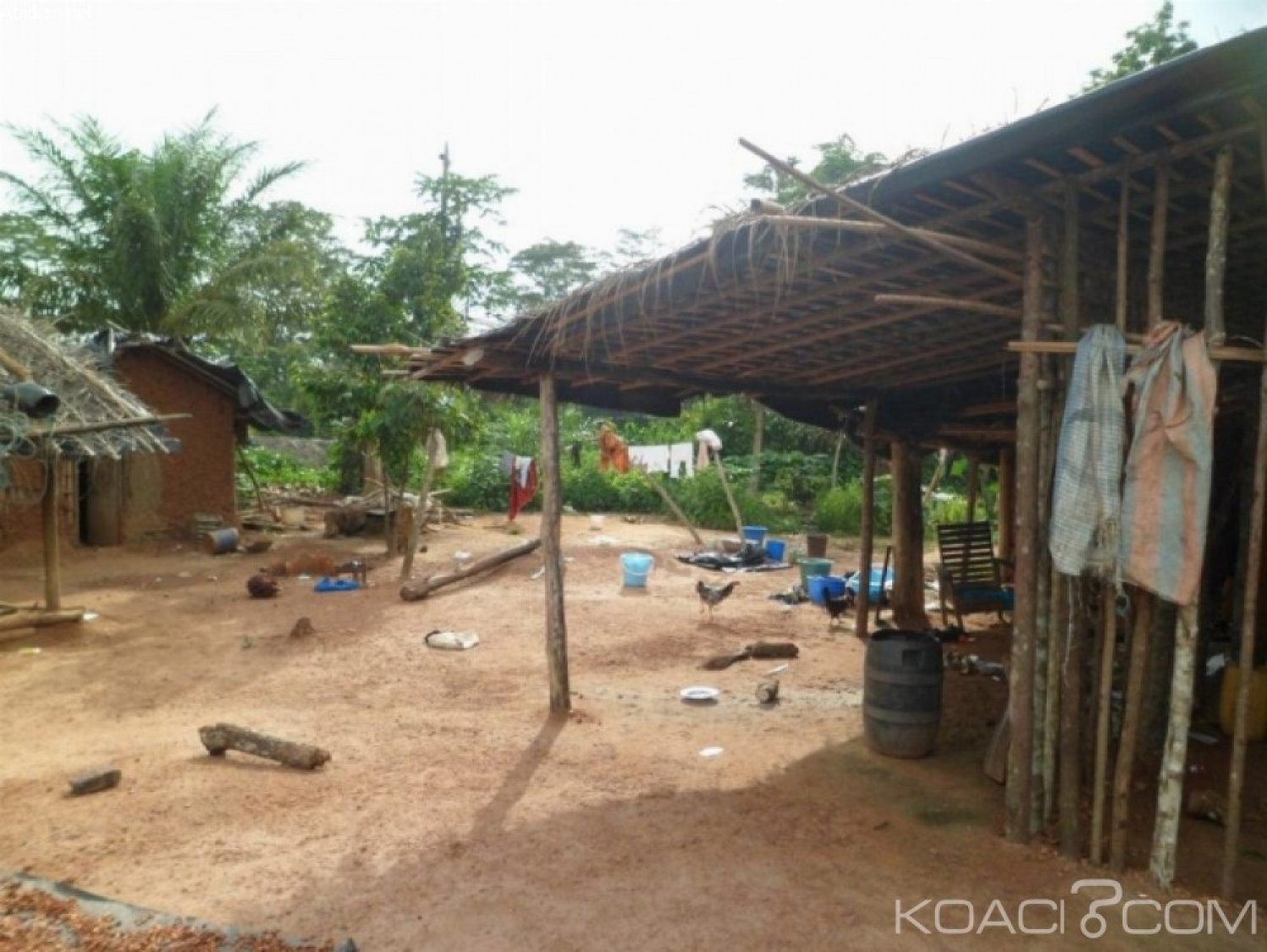 Côte d'Ivoire : Forêt classée, un occupant tente de s'en prendre à  un agent des eaux forêts et est atteint mortellement d'une balle