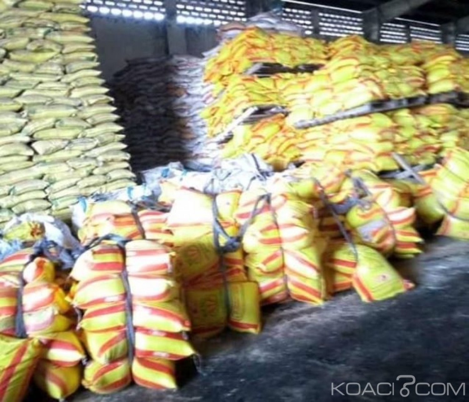 Côte d'Ivoire : Abidjan, 18 mille tonnes de riz Birman déchargés au Port font l'objet de test avant leur consommation