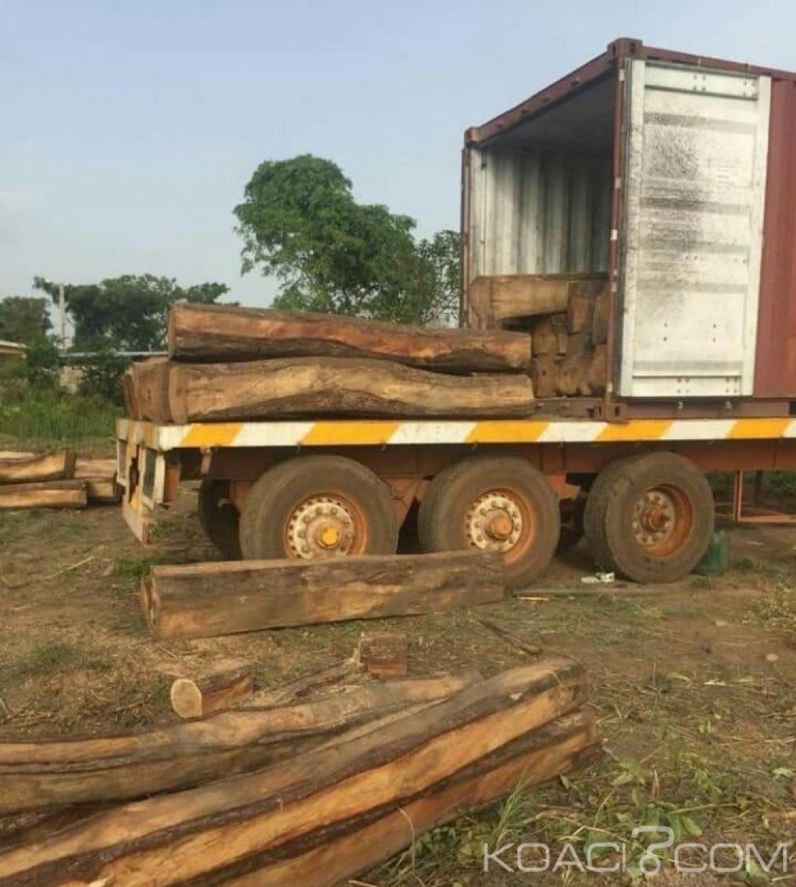 Côte d'Ivoire : A Didiévi, deux containers de trafic illicite  de bois de vène saisis