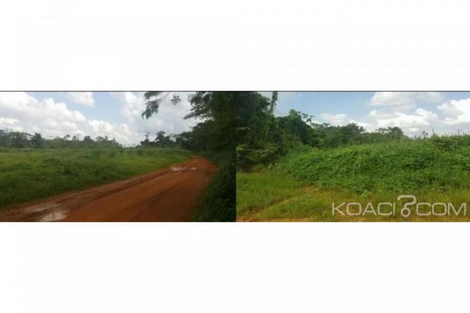 Côte d'Ivoire: Oglwapo, accusé par des villageois de vente illicite de terrains, le sous-préfet reçoit le soutien d'un collectif de jeunes qui dément les allégations avancées