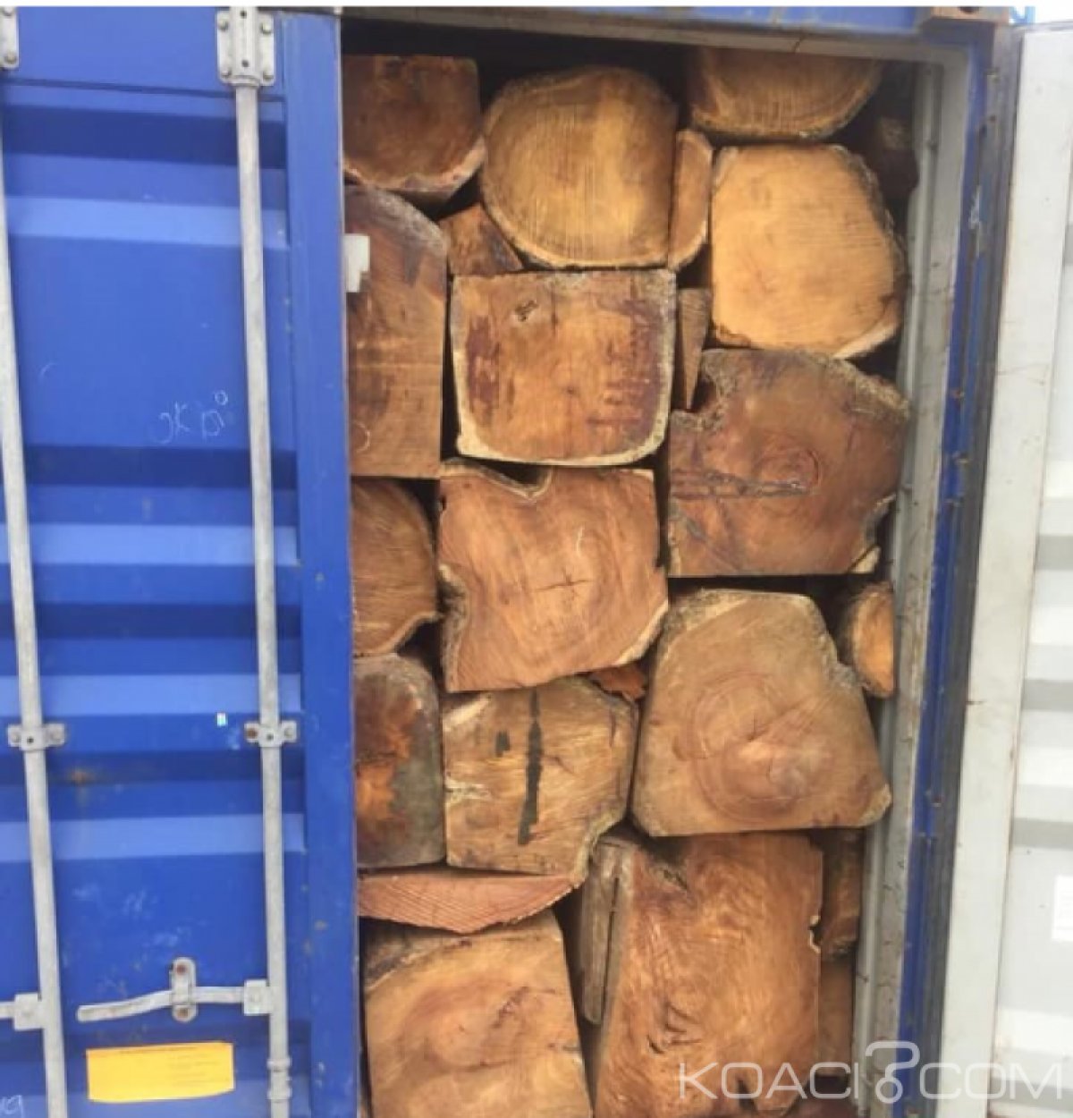 Côte d'Ivoire : Trafic de bois vêne, 5 containers de 20 pieds saisis ce jour à  Vridi