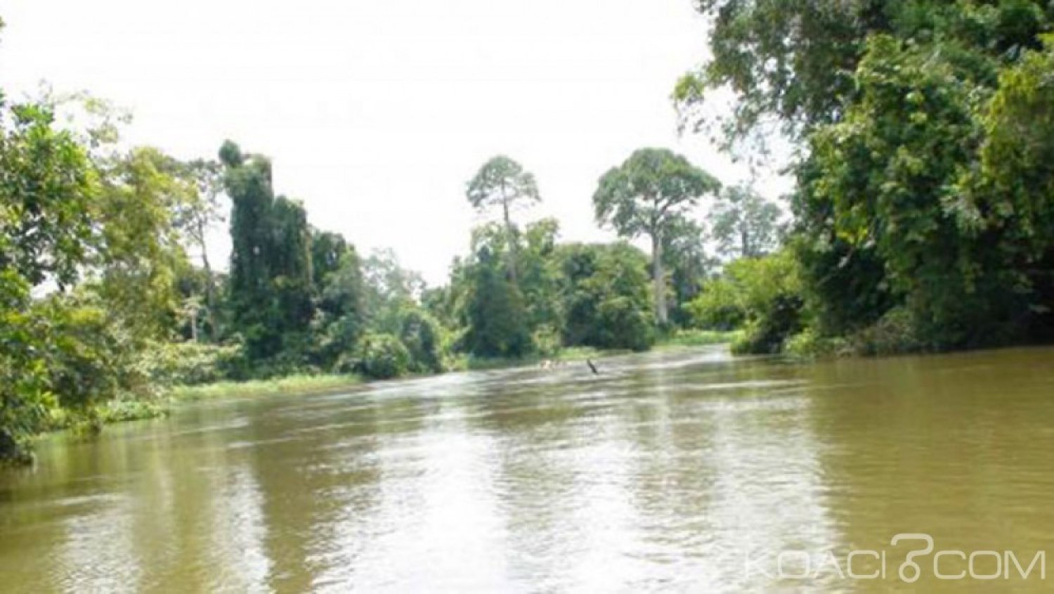 Côte d'Ivoire: Un individu suspecté de vol d'une moto se jette dans le fleuve N'Zi et meurt par noyade