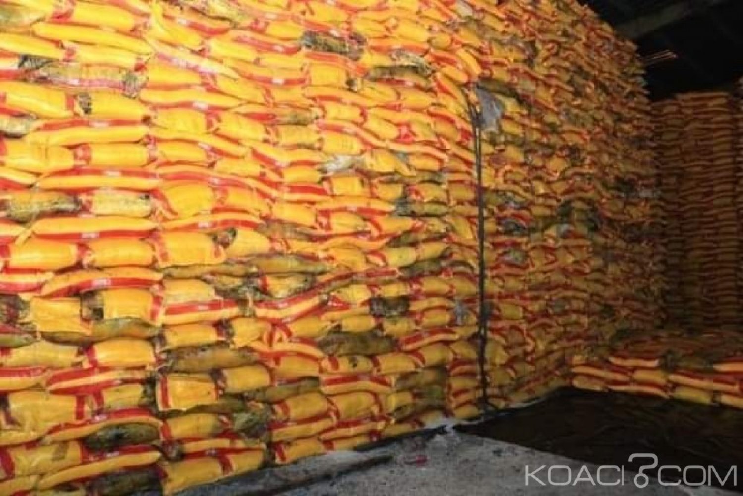 Côte d'Ivoire : Affaire 18 tonnes de riz avariés, les conclusions de l'enquête connues avant mercredi prochain