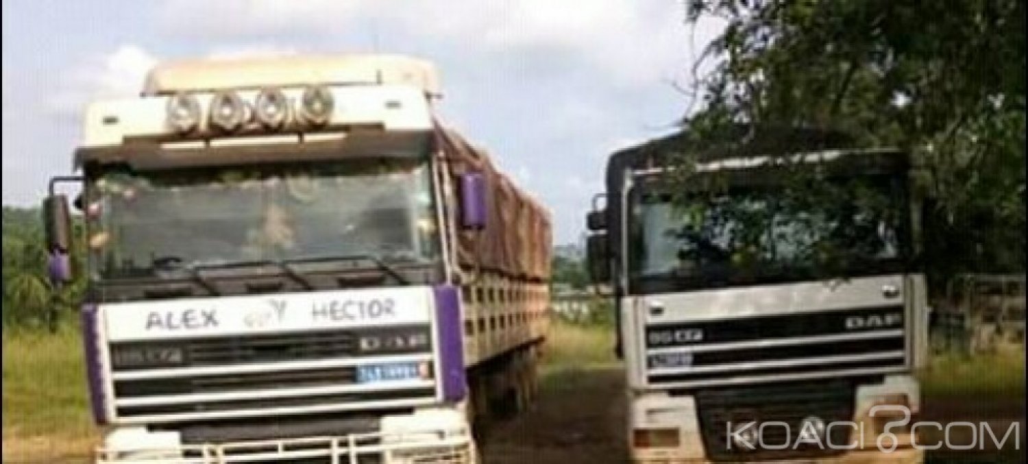 Côte d'Ivoire: Tabou, saisie de 3 camions d'orpailleurs clandestins, plus de 5 millions proposés à  des agents des Eaux et Forêts pour les corrompre