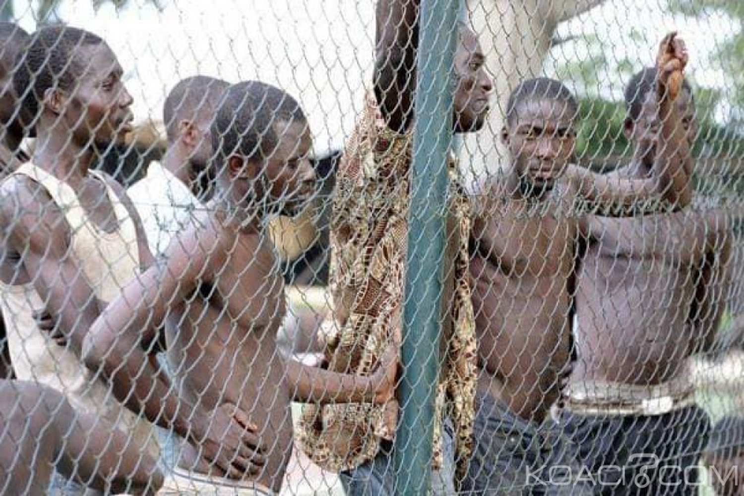Côte d'Ivoire : Au Libéria, 7 détenus de la crise postélectorale remis en liberté