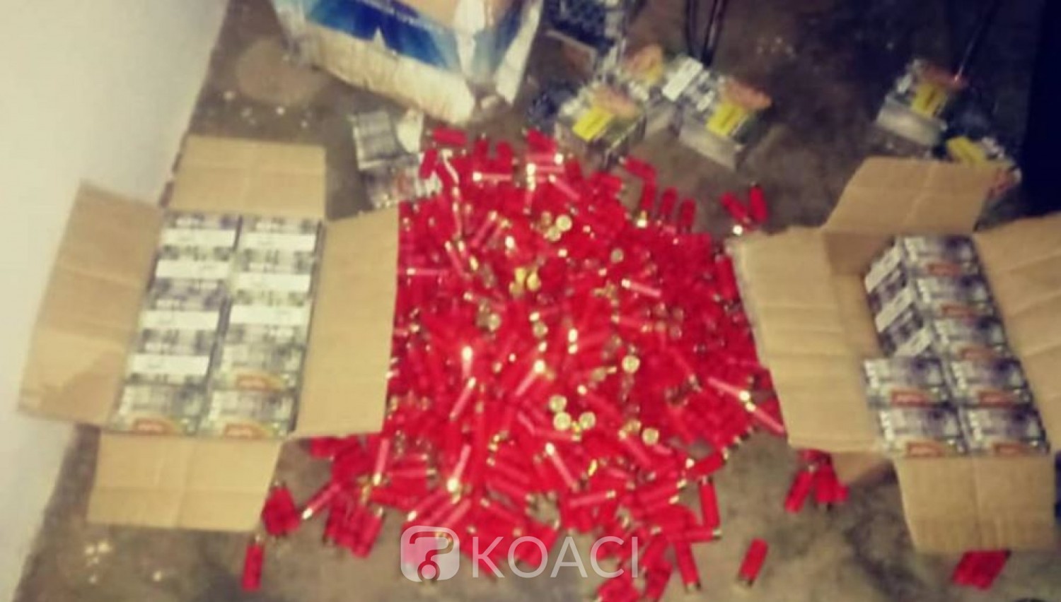 Côte d'Ivoire : En mission de sécurisation dans une frontière, la gendarmerie fait une importante saisie de munitions