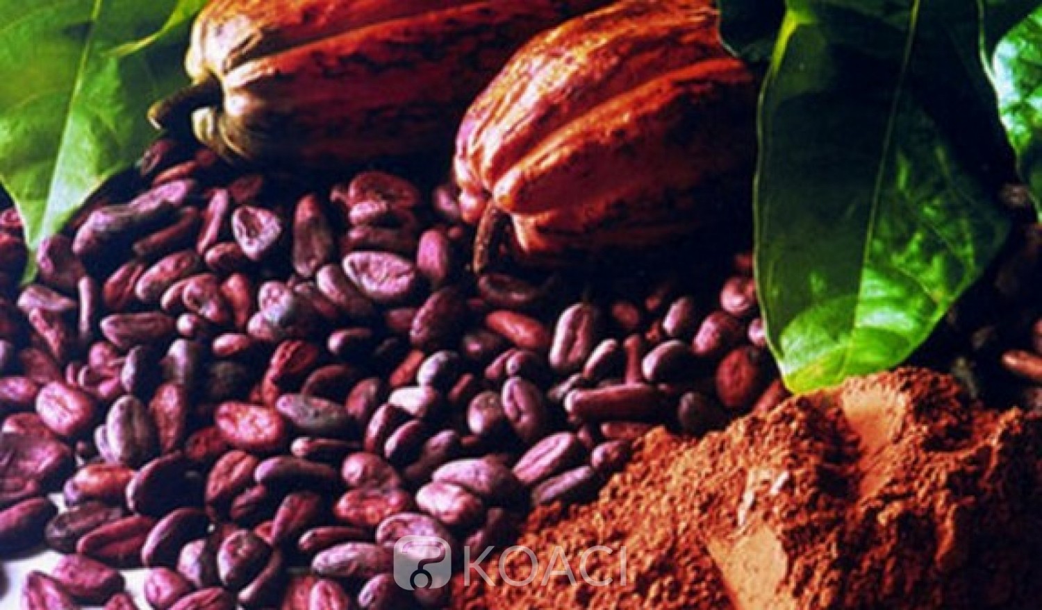 Ghana: Le COCOBOD dément des rapports d'absence d'acheteurs pour le cacao ghanéen