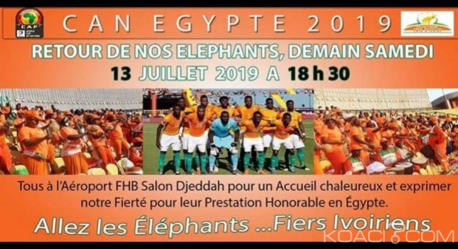 Côte d'Ivoire: Accueil triomphal des éléphants, le gouvernement dit non !