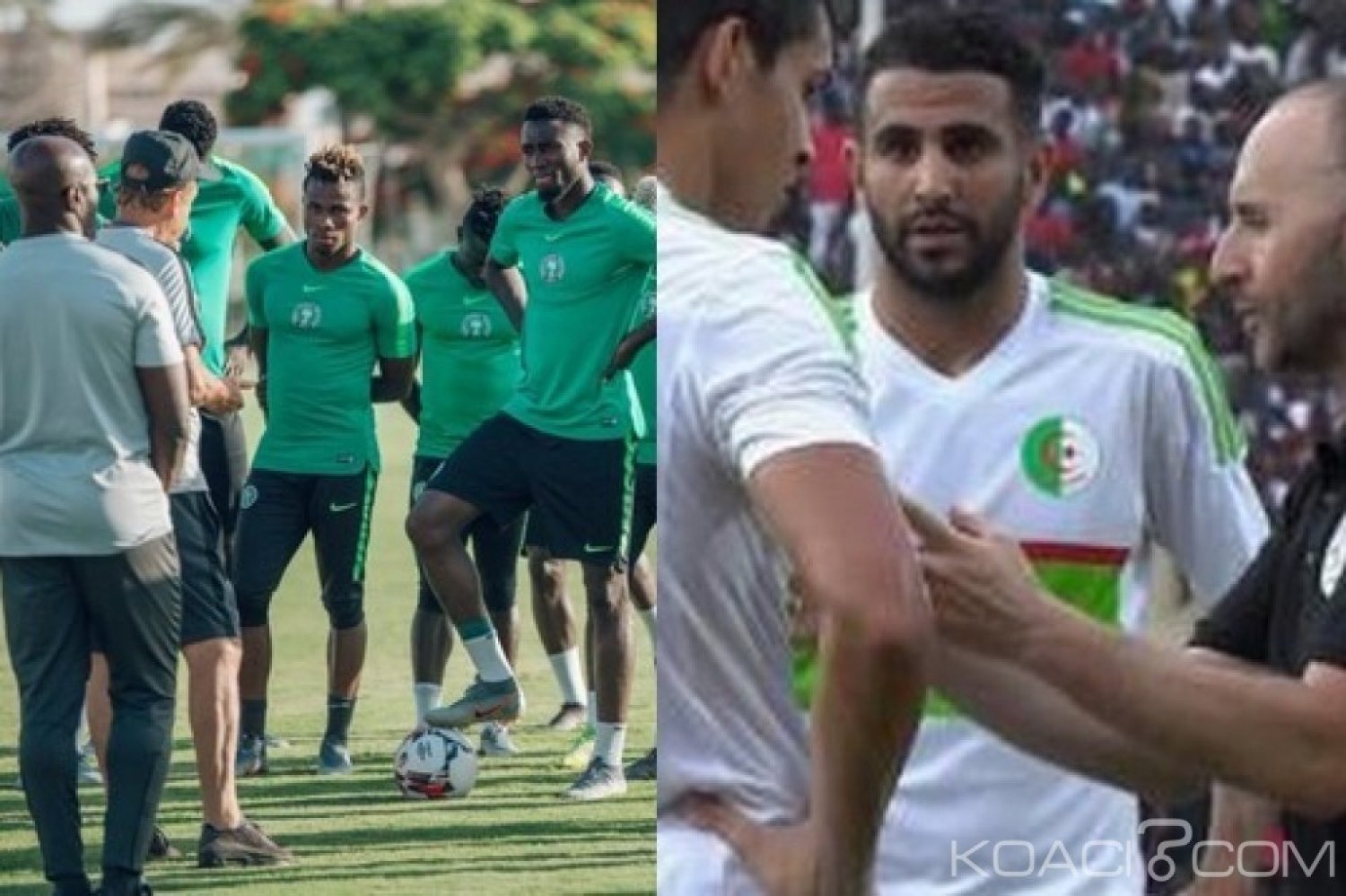 Nigeria-Algérie : CAN 2019, veille de demi-finale, les arbitres désignés et historique