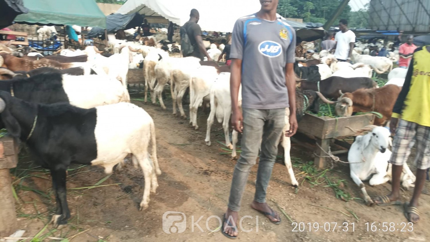 Côte d'Ivoire :   L'Aïd-el-Kébir célébrée le dimanche 11 Août 2019, la communauté musulmane a entamé aujourd'hui, un jeûne non obligatoire de 9 jours