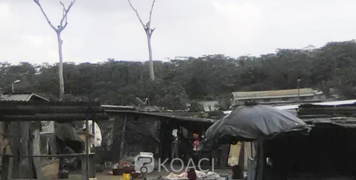 Côte d'Ivoire: Forêt du Banco, des corps enterrés nuitamment et de façon clandestine du côté d'Abobo