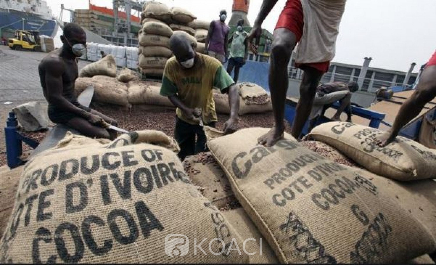 Côte d'Ivoire : Café-cacao, report de la date limite du dépôt des dossiers de demande d'agrément pour la campagne 2019-2020
