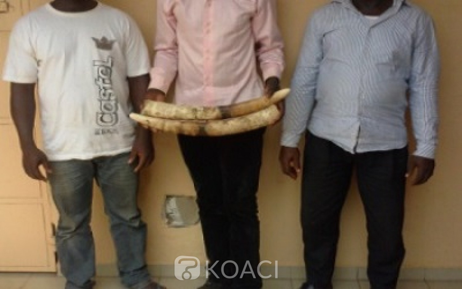 Burkina Faso : Des braconniers interpellés avec des peaux de crocodiles et de l'ivoire