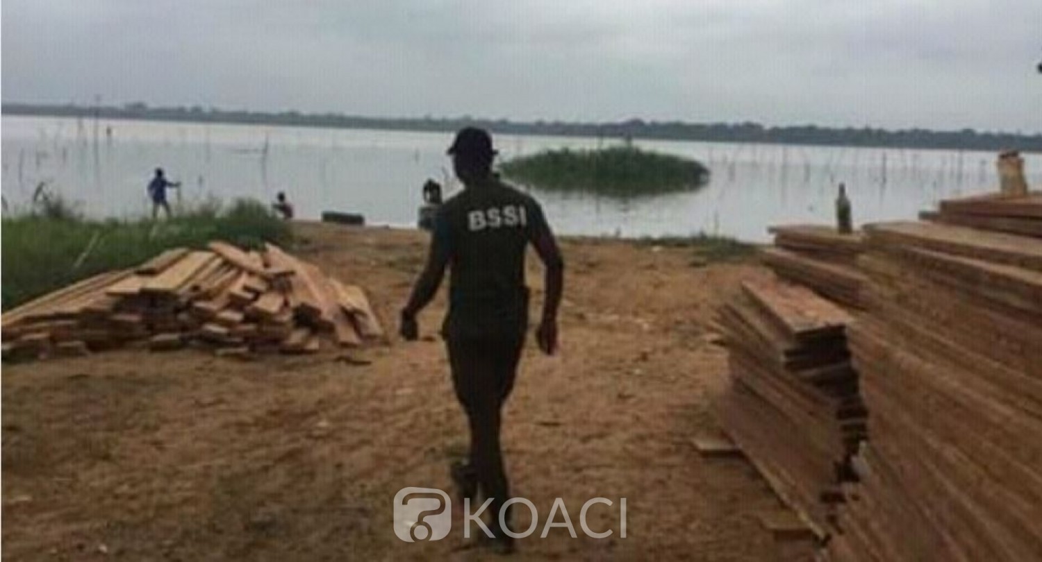 Côte d'Ivoire : Adjin, faute de moyens nautiques, environ 2000 planches saisies par la BSSI stockées sur une rive