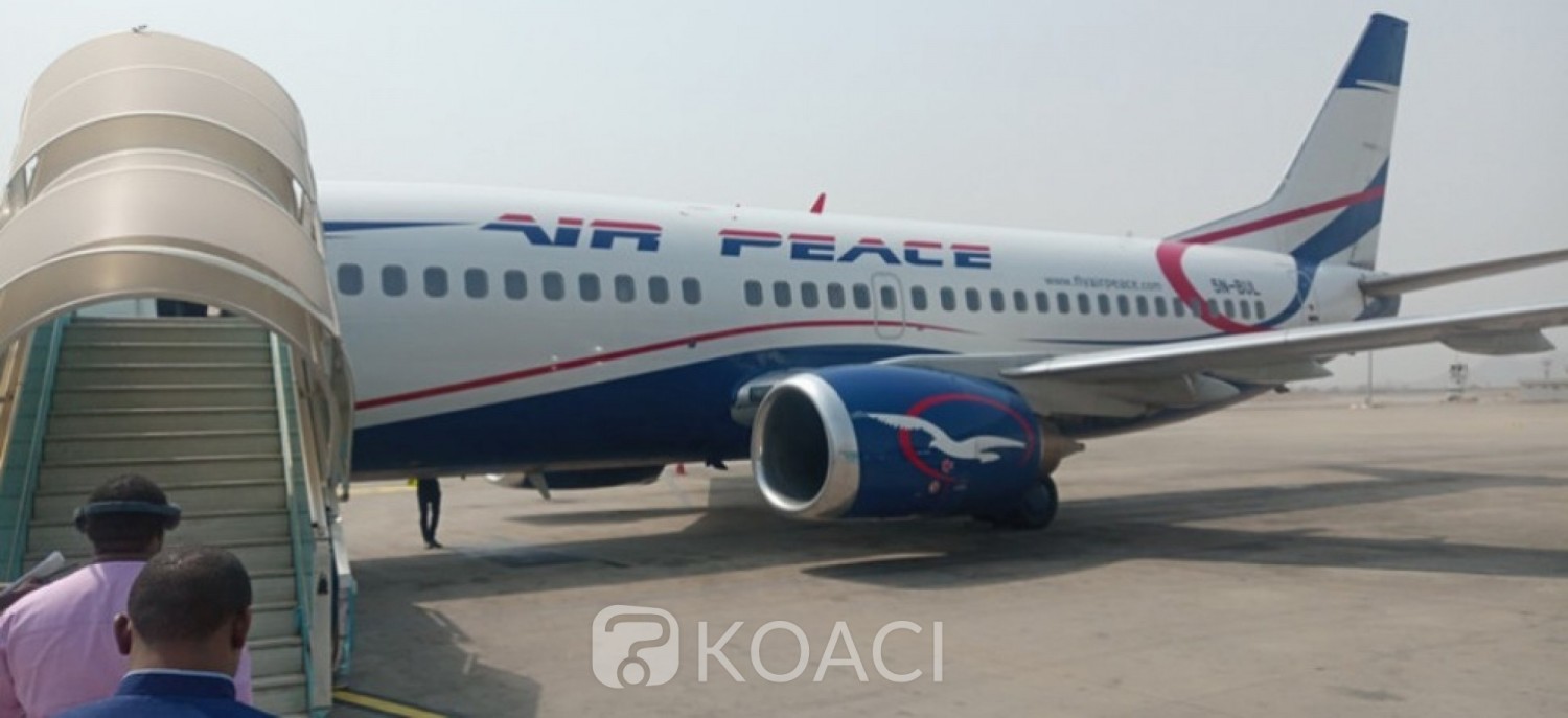 Nigeria-Afrique du Sud:   Le propriétaire d'une compagnie aérienne offre de rapatrier gratuitement des nigérians , 600 déjà en lice