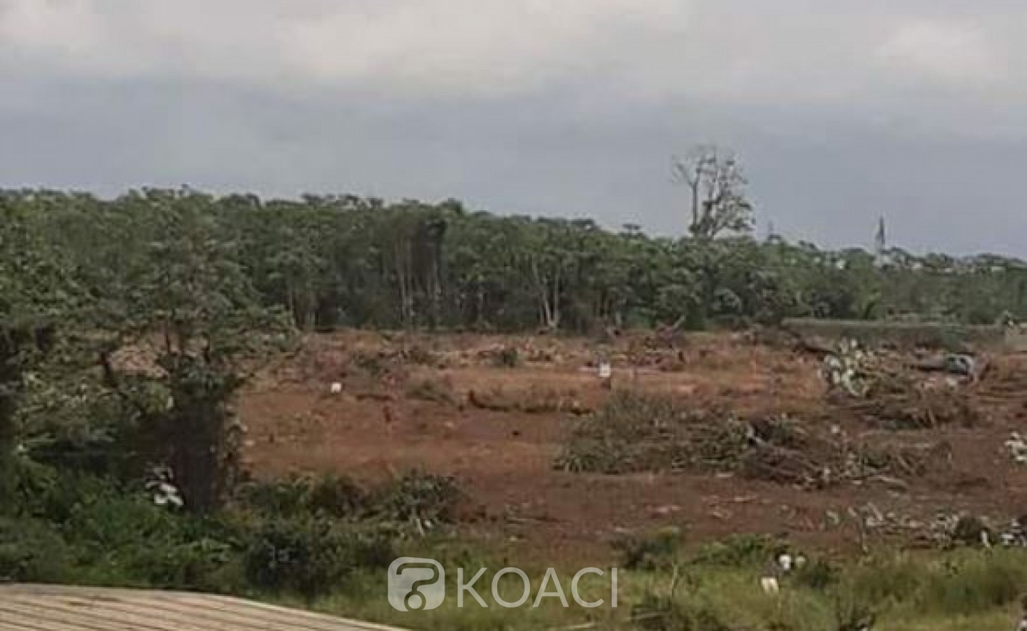 Côte d'Ivoire: Affrontement à la Kalash dans la forêt du Banco