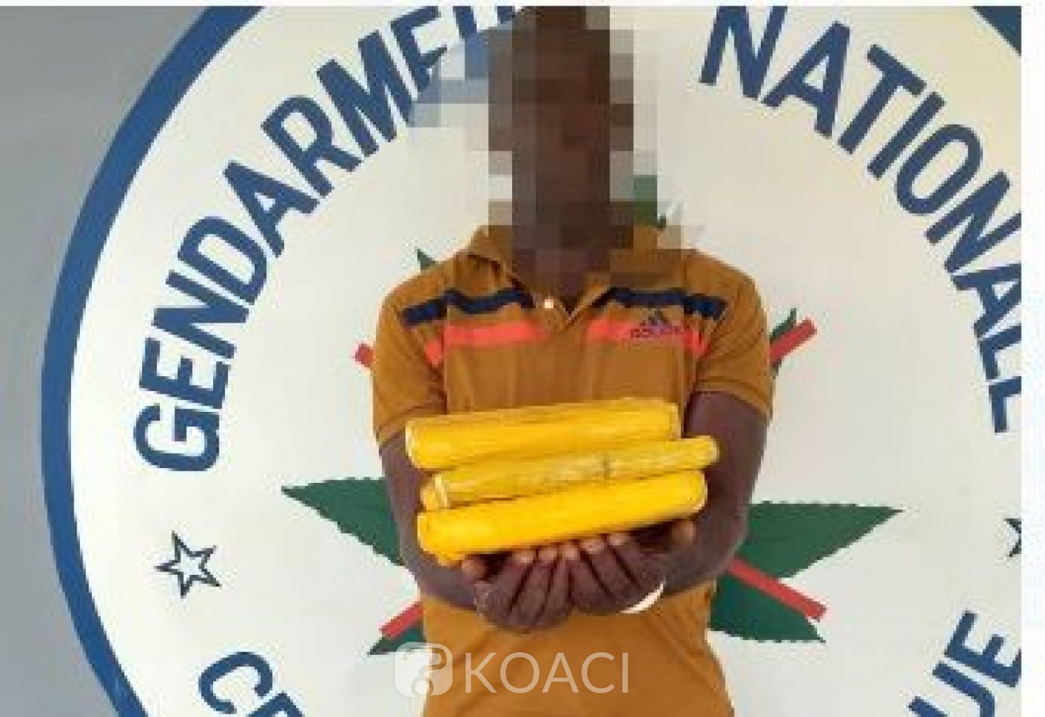 Côte d'Ivoire: Un individu interpellé à bord d'un véhicule d'une entreprise avec une quantité de drogue et des billets de banque