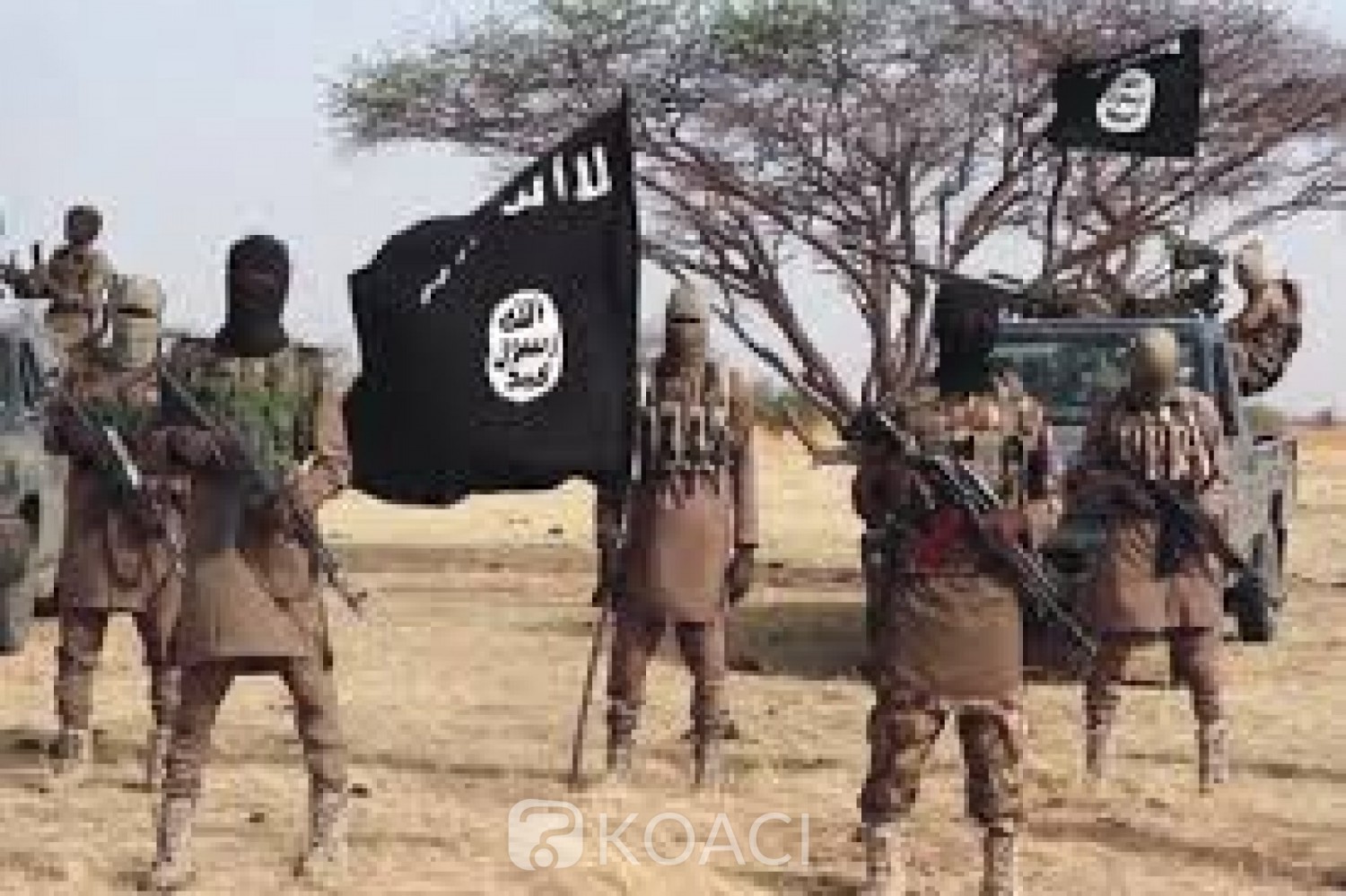 Nigeria : Cinq miliciens antijihadistes abattus par des combattants de l' ISWAP à Gubio