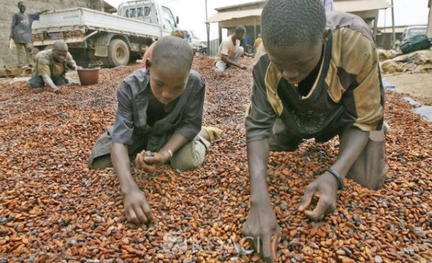 Côte d'Ivoire: Travail d'enfants dans les plantations, des équipes de douanes américaines sur le terrain