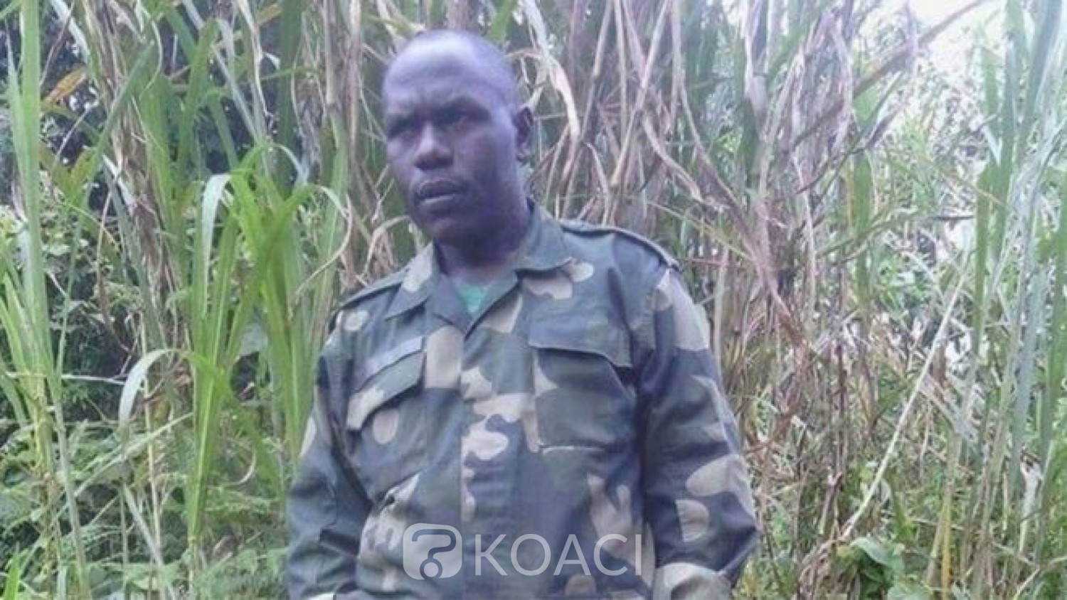 RDC: L'armée annonce la mort d'un nouveau chef  du groupe  hutus rwandais FDLR