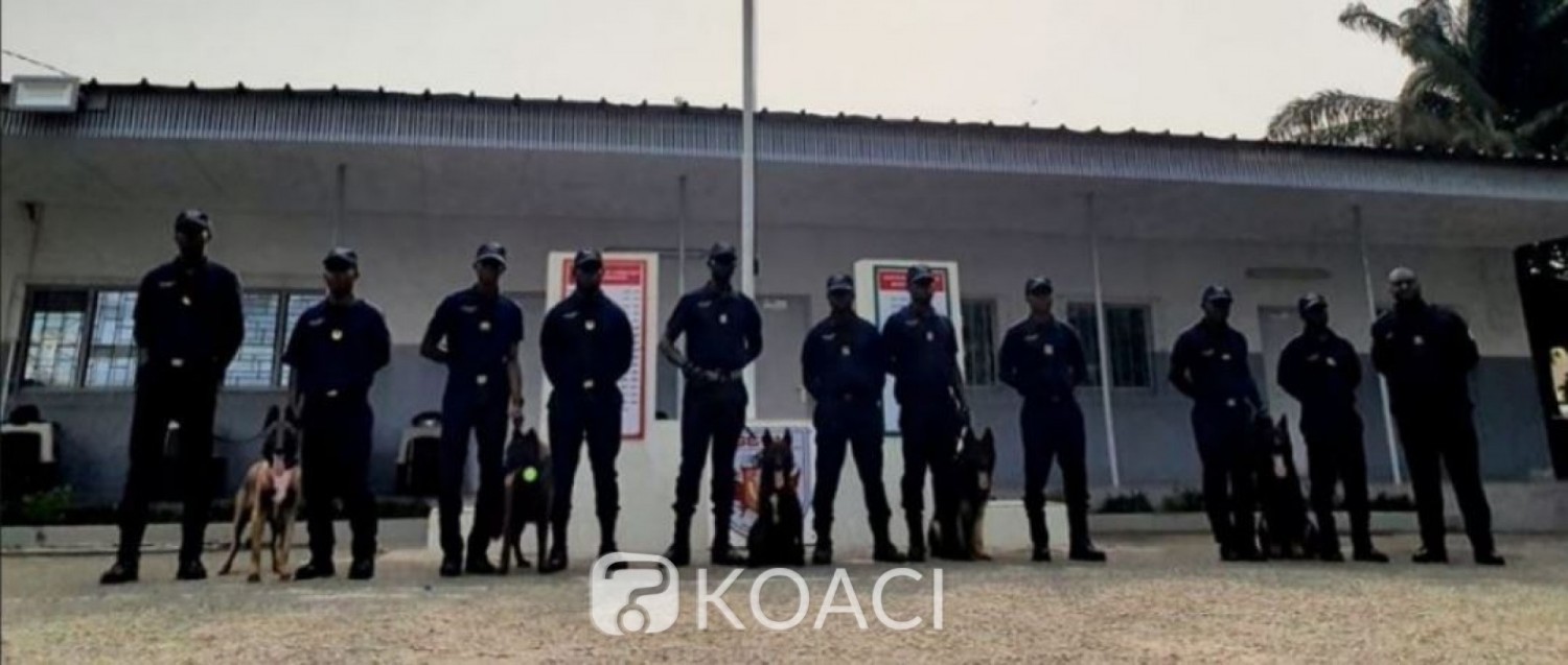 Côte d'Ivoire: Sapeurs-pompiers,  mise en place d'une unité cynotechnique, voici ses missions
