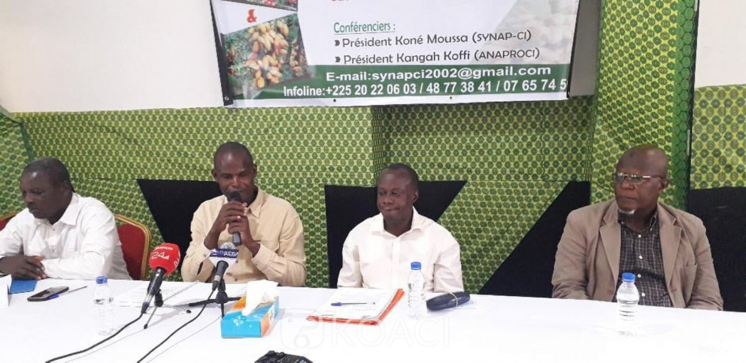 Côte d'Ivoire : Filières café-cacao,  des producteurs exigent le départ du DG du Conseil et annoncent une grêve dans les prochains jours pour dénoncer «sa mauvaise gestion »