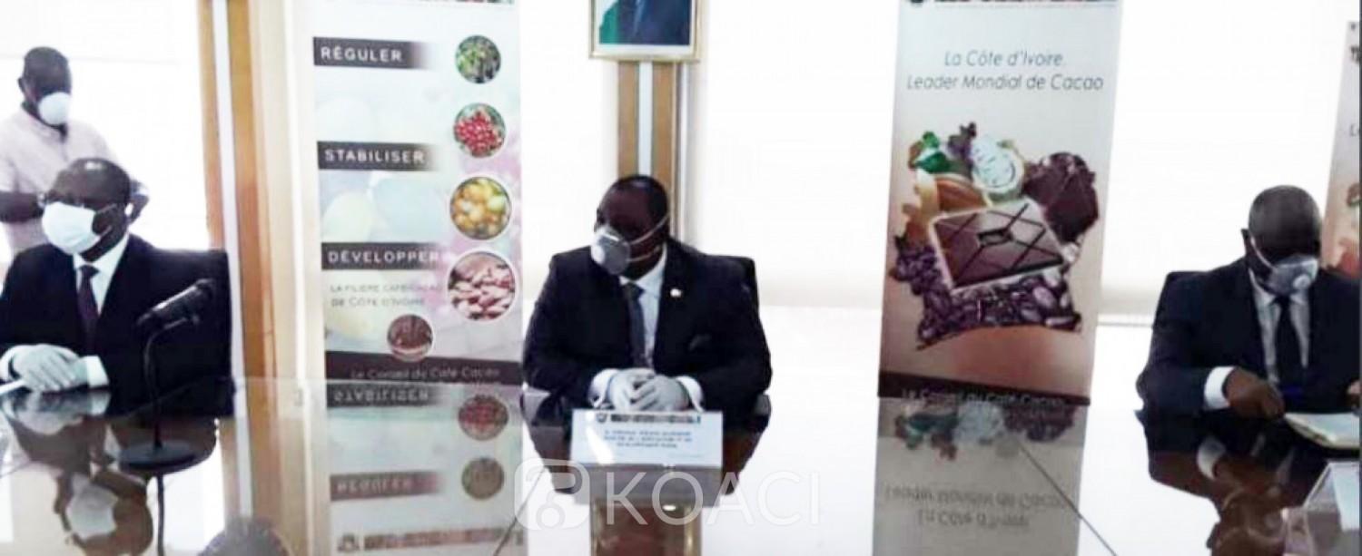 Côte d'Ivoire :  Campagne intermédiaire de cacao, le gouvernement reconduit le prix de 825 FCFA de la campagne principale