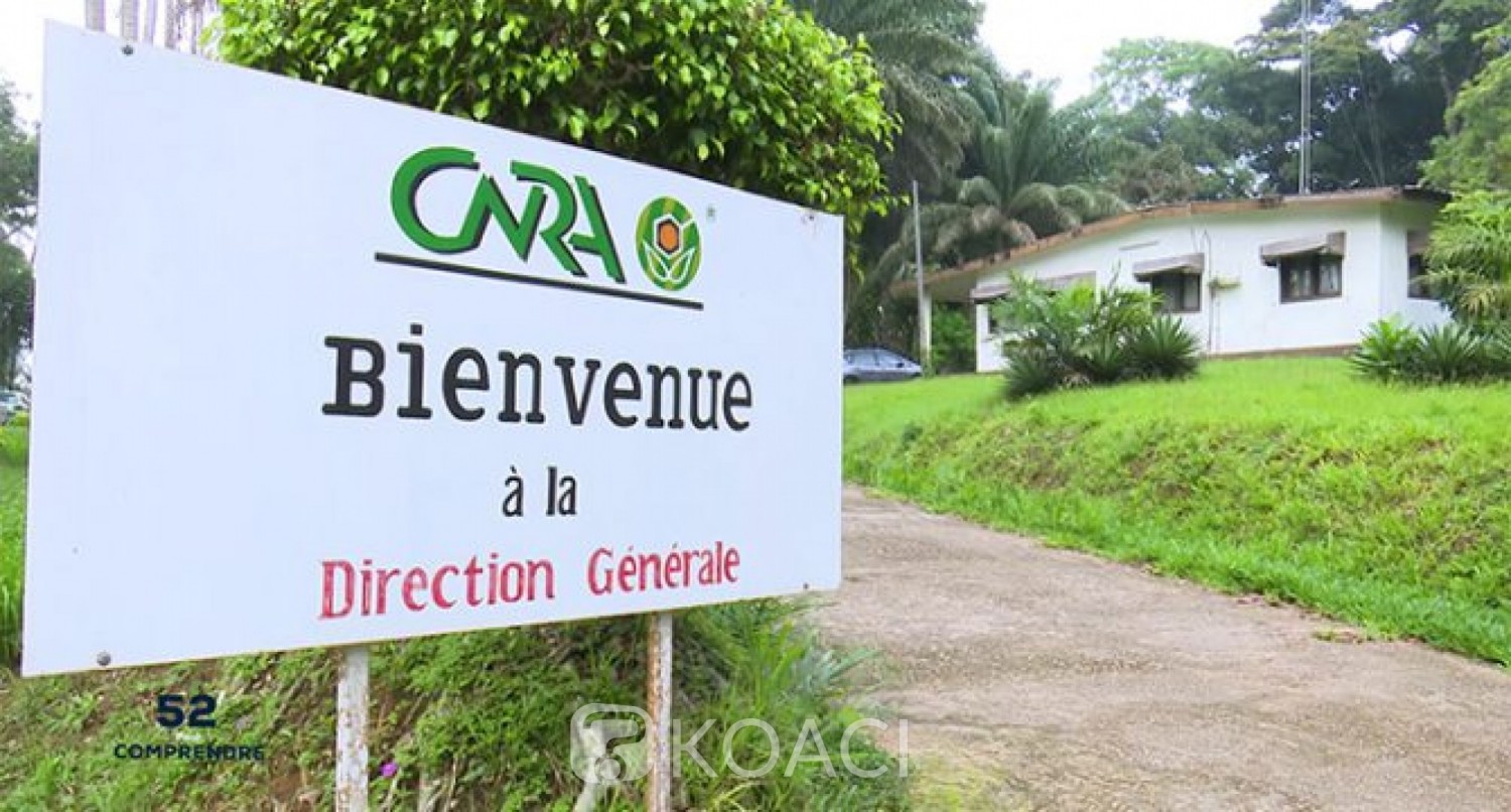 Côte d'Ivoire : En plein couvre-feu, le CNRA attaqué dans la nuit de samedi par des individus fortement armés qui ont emporté le coffre-fort