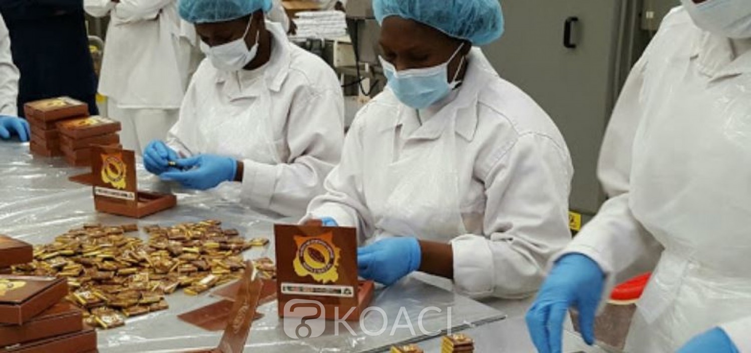 Côte d'Ivoire : Création d'un fonds d'appuis à l'investissement dans la transformation du cacao, 10 milliards de FCFA en faveur des acteurs nationaux