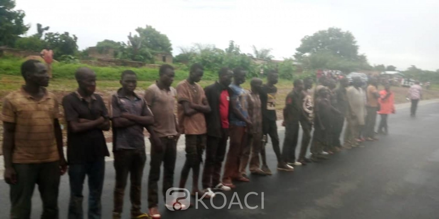 Côte d'Ivoire : Bouaké, camouflés dans un camion de bétail, 14 clandestins du Coronavirus appréhendés