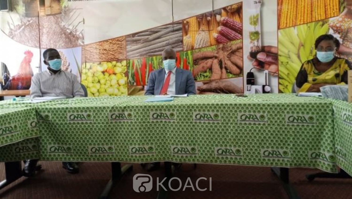 Côte d'Ivoire : COVID-19, le CNRA a enregistré en moins de trois mois des pertes comprises entre 2 et 3 milliards de FCFA