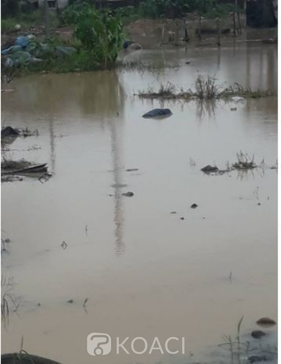 Côte d'Ivoire : Abobo-Gare, un corps retrouvé dans un bas-fond
