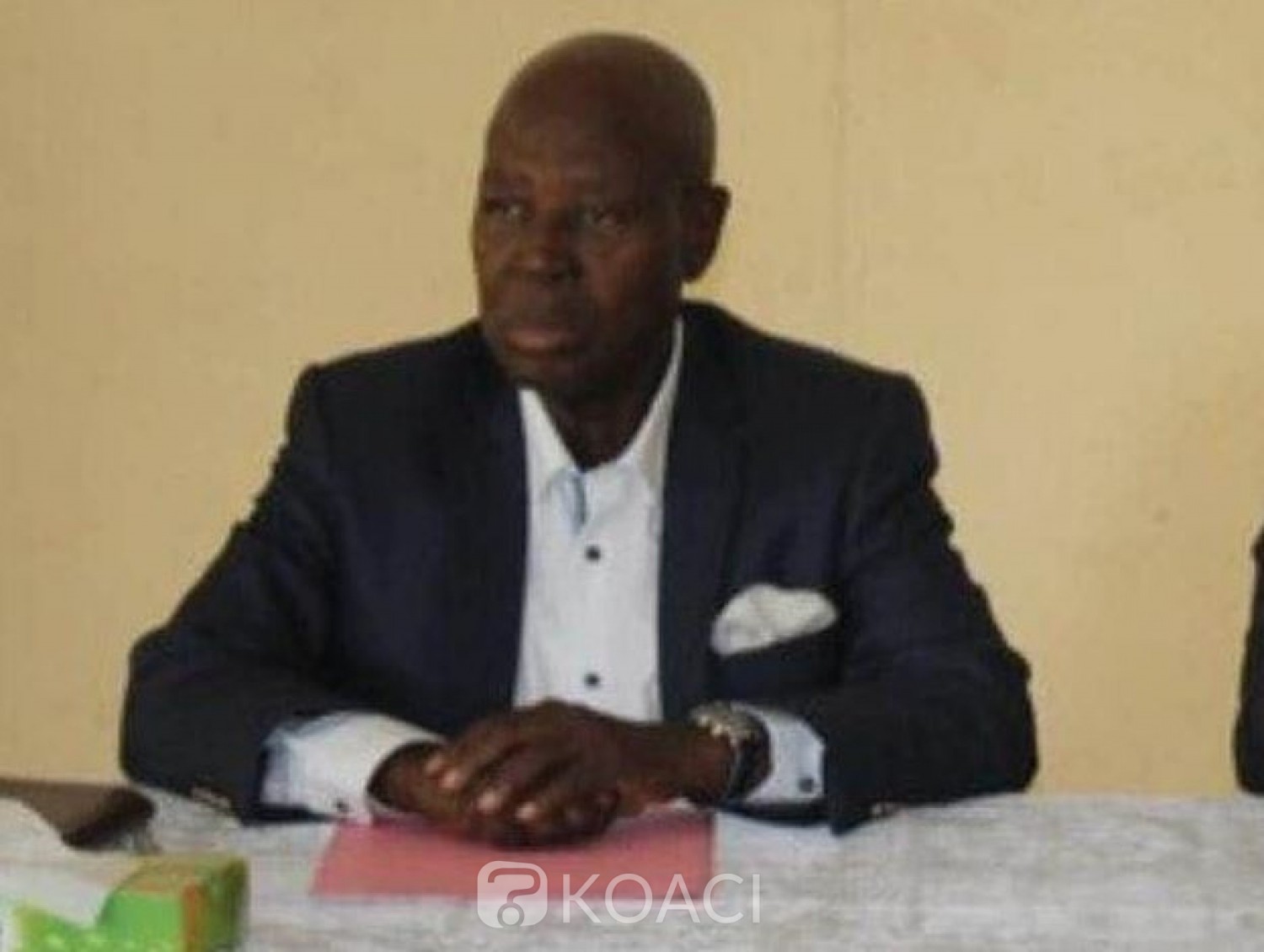 Côte d'Ivoire : Le  PDCI-RDA désigne enfin son  représentant à la CEI