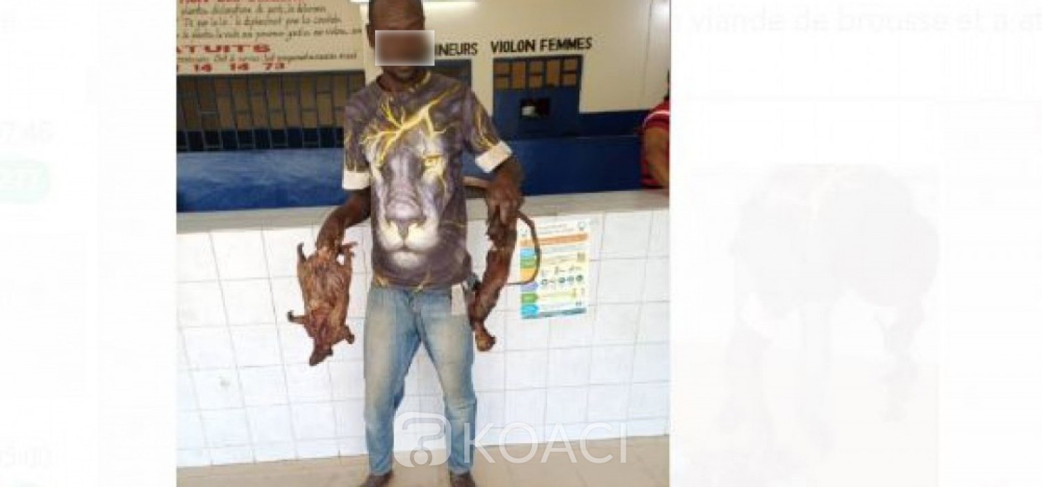 Côte d'Ivoire : Interpellation à Abobo de 2 individus, l'un voleur présumé de viande de brousse et l'autre porteur de drogue