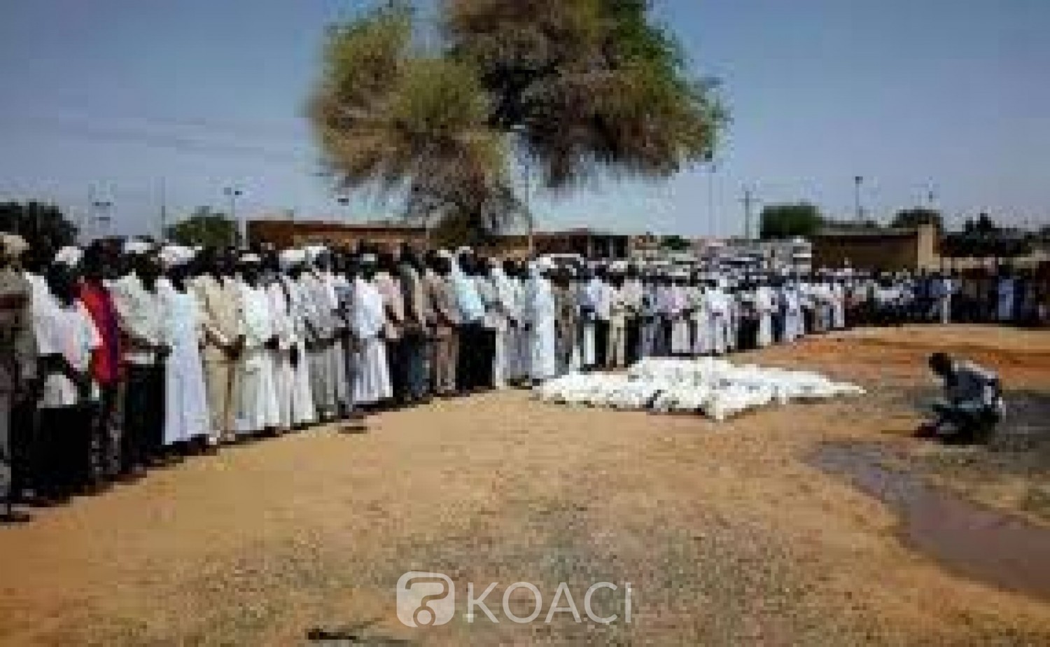 Tchad :10 morts dans des affrontements entre éleveurs et cultivateurs lors d'un funérailles