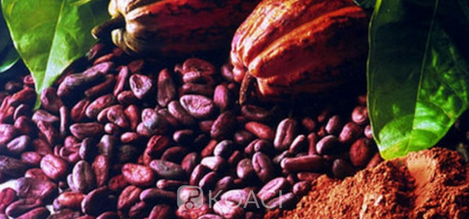 Ghana - Côte d'Ivoire :  Accord sur la hausse du prix du cacao