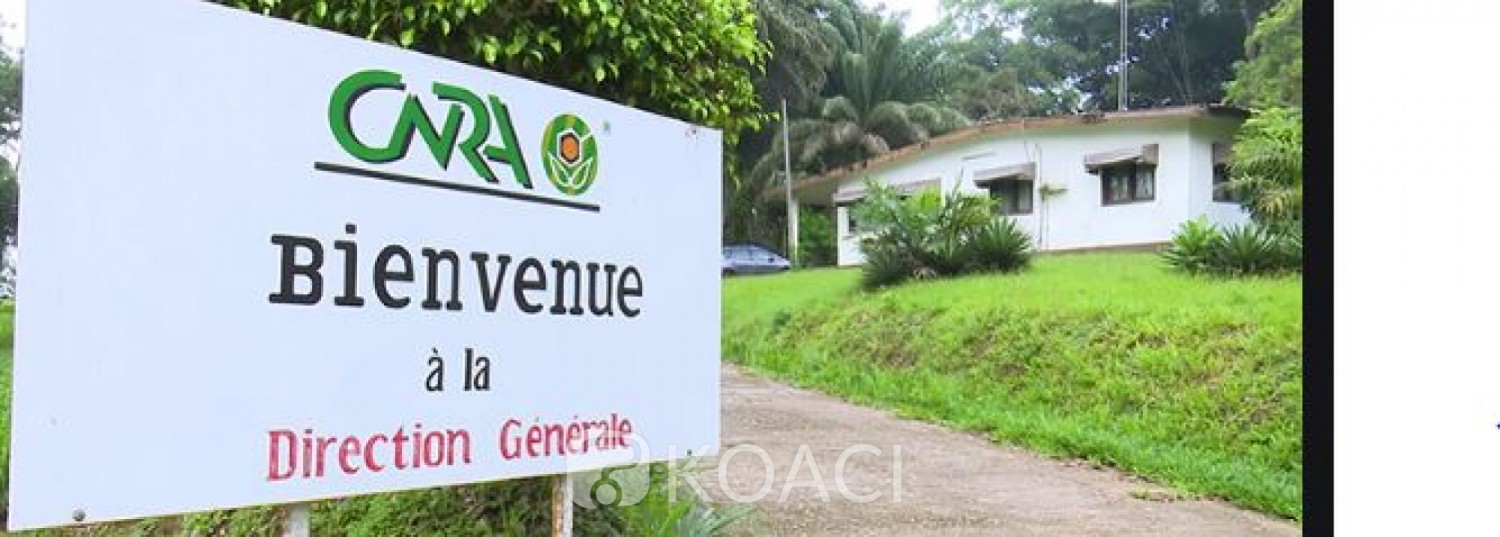 Côte d'Ivoire : Litige Foncier au Km 17, les révélations du ministre Adama Diawara qui confondent le CNRA