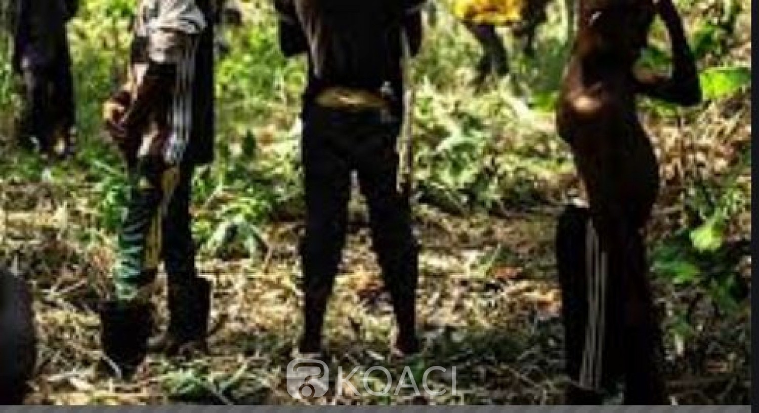 Côte d'Ivoire : Lutte contre le travail des enfants dans les plantations, onze enfants et deux adolescents sauvés par la police