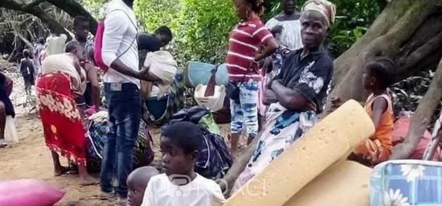 Liberia-Côte d'Ivoire : Motifs de départ des réfugiés ivoiriens arrivés au Liberia