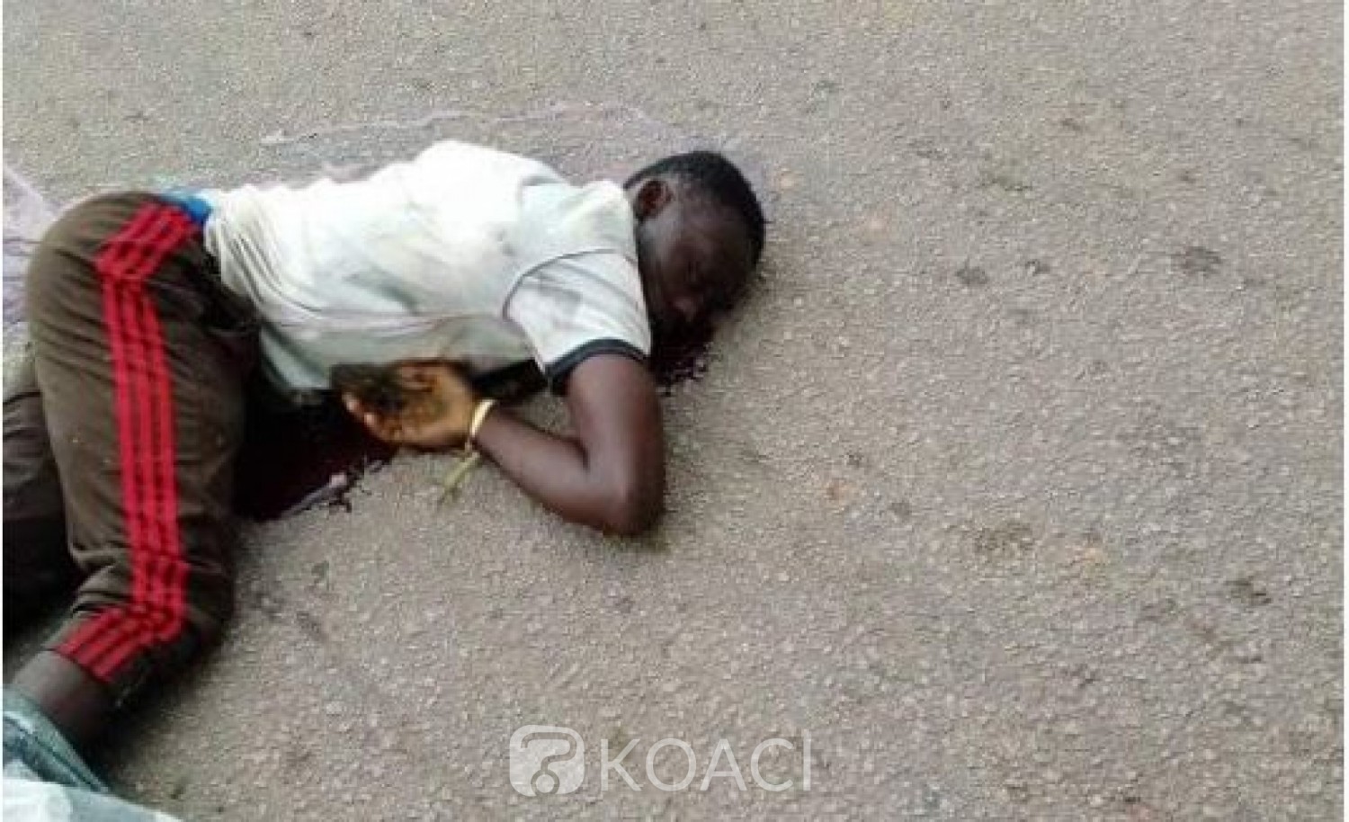 Côte d'Ivoire : Horreur à Elibou, ils abattent un arbre qui tombe sur un Massa, 7 morts