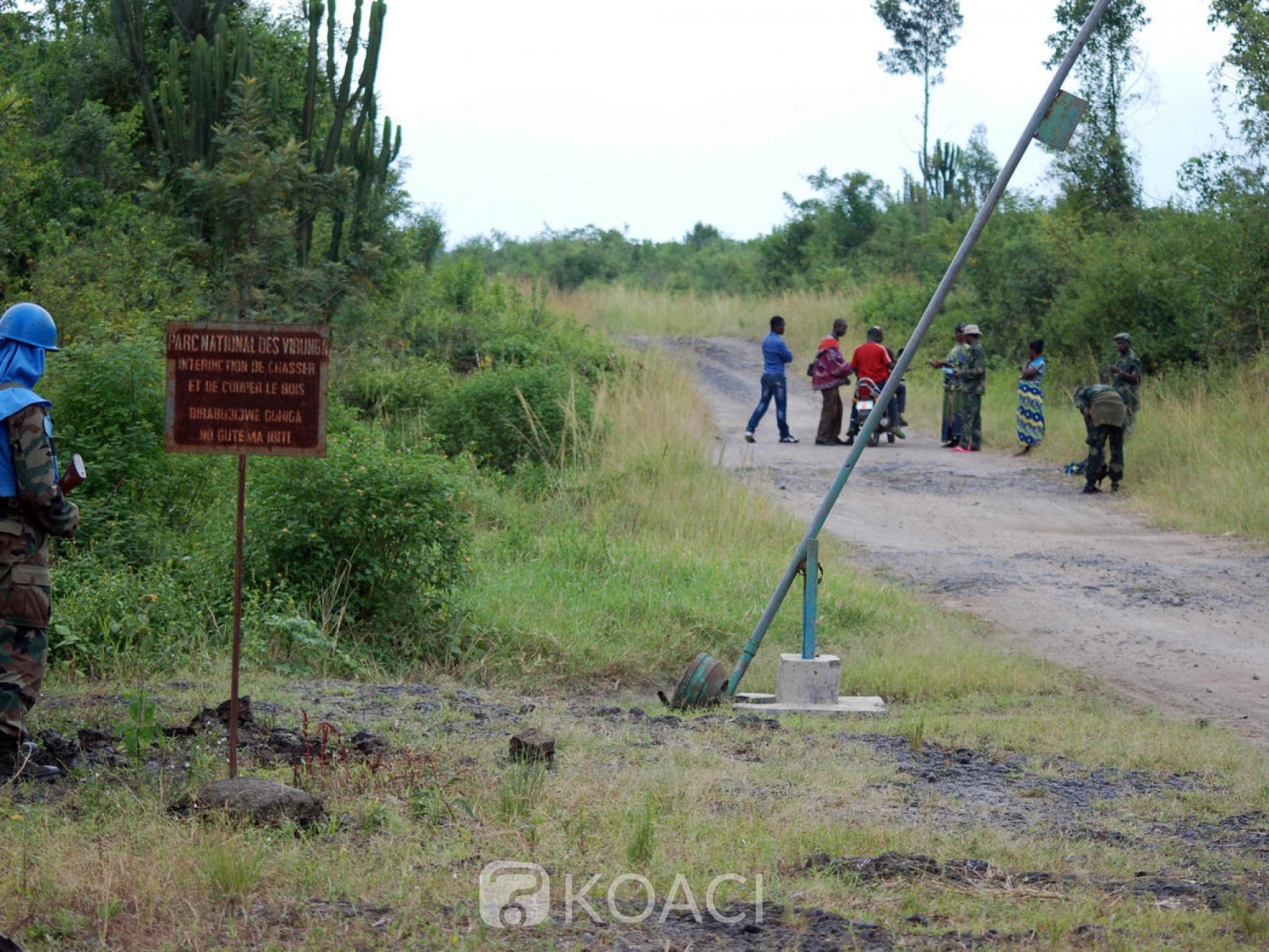 RDC : Un mort et 4 blessés dans le crash d'un aéronef du parc des Virunga