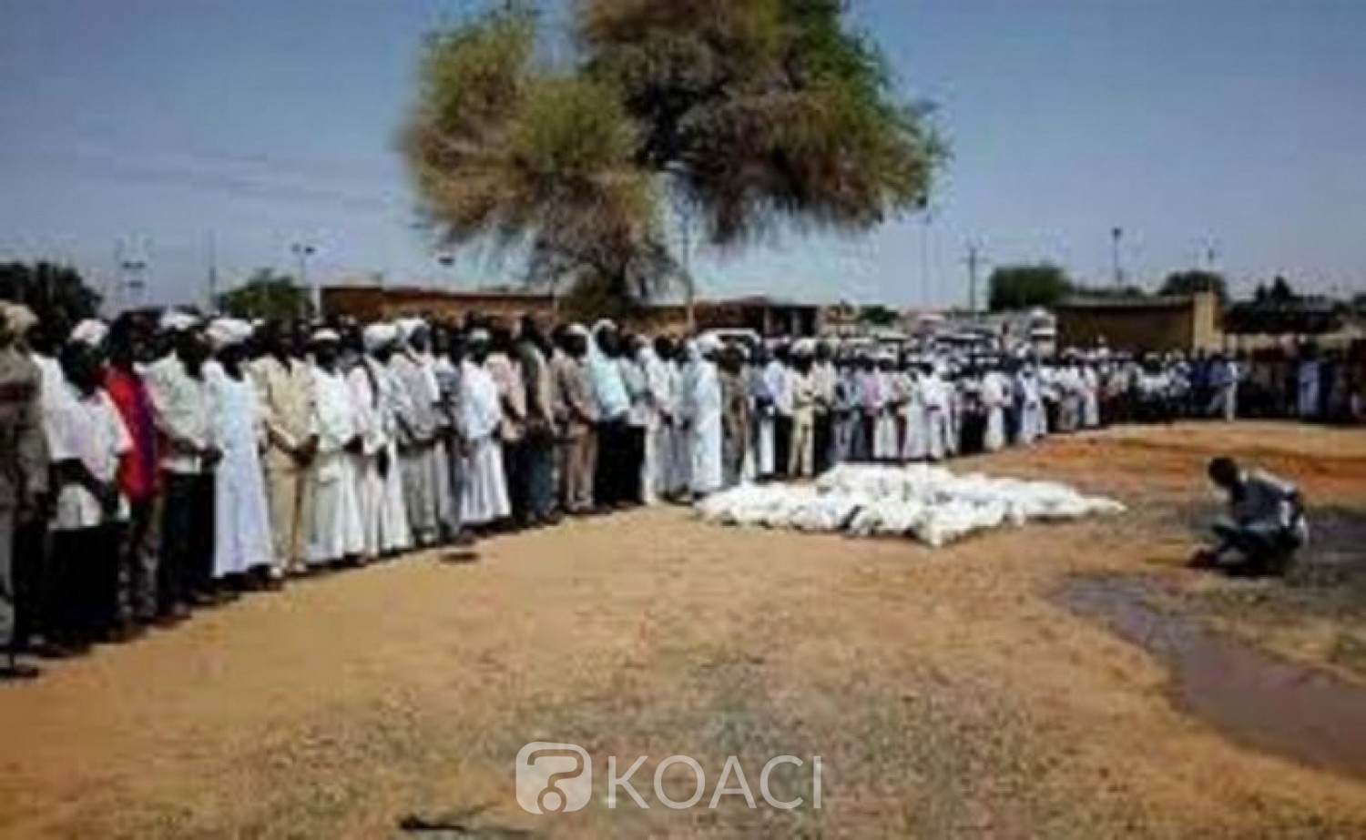 Tchad : Cultivateurs et éleveurs s'entretuent dans le sud,au moins 22 morts