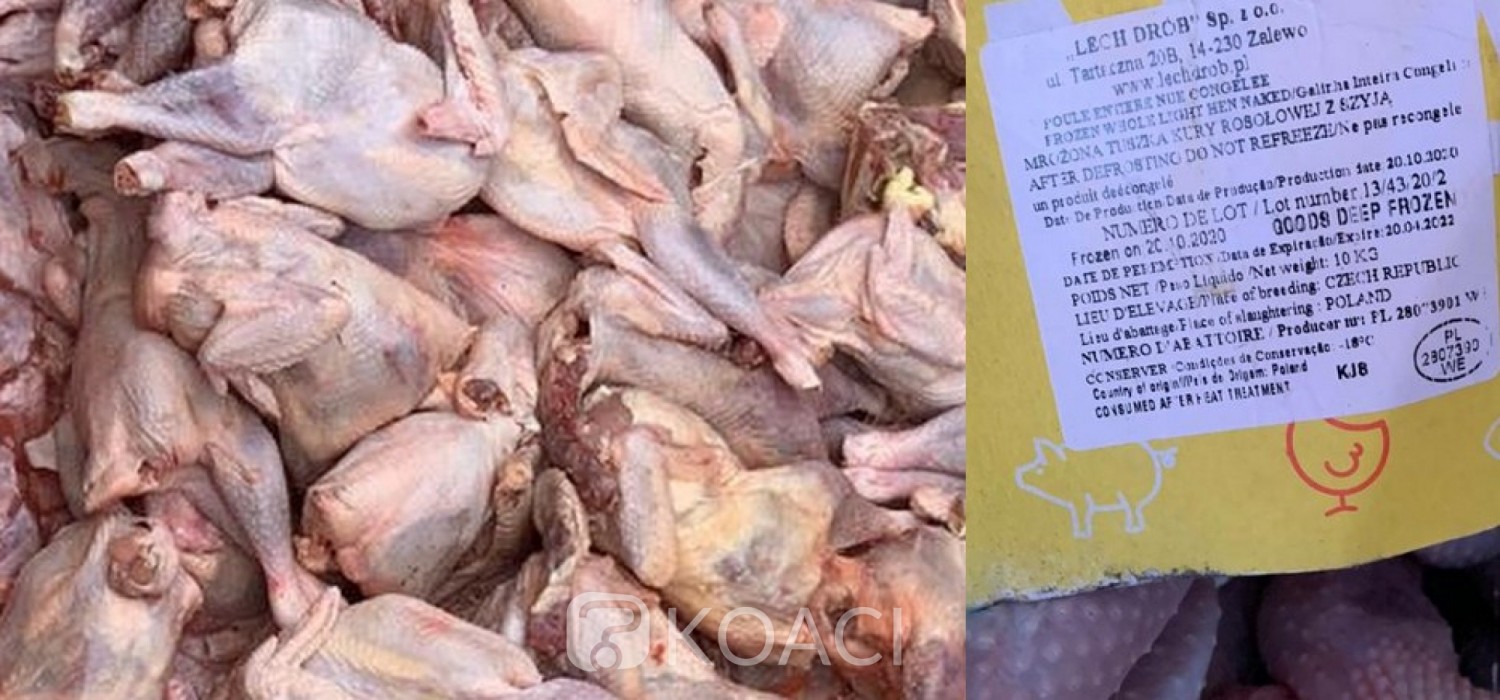Togo:  Contrebande, nouvelle saisie d'une cargaison de poulets congelés