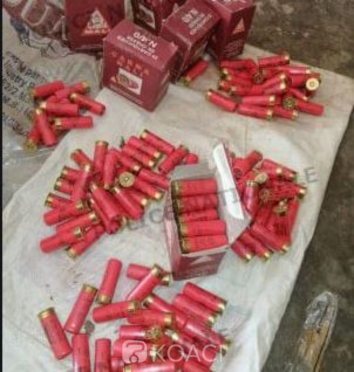 Côte d'Ivoire : Vente de munitions de calibre 12, un récidiviste notoire à nouveau arrêté