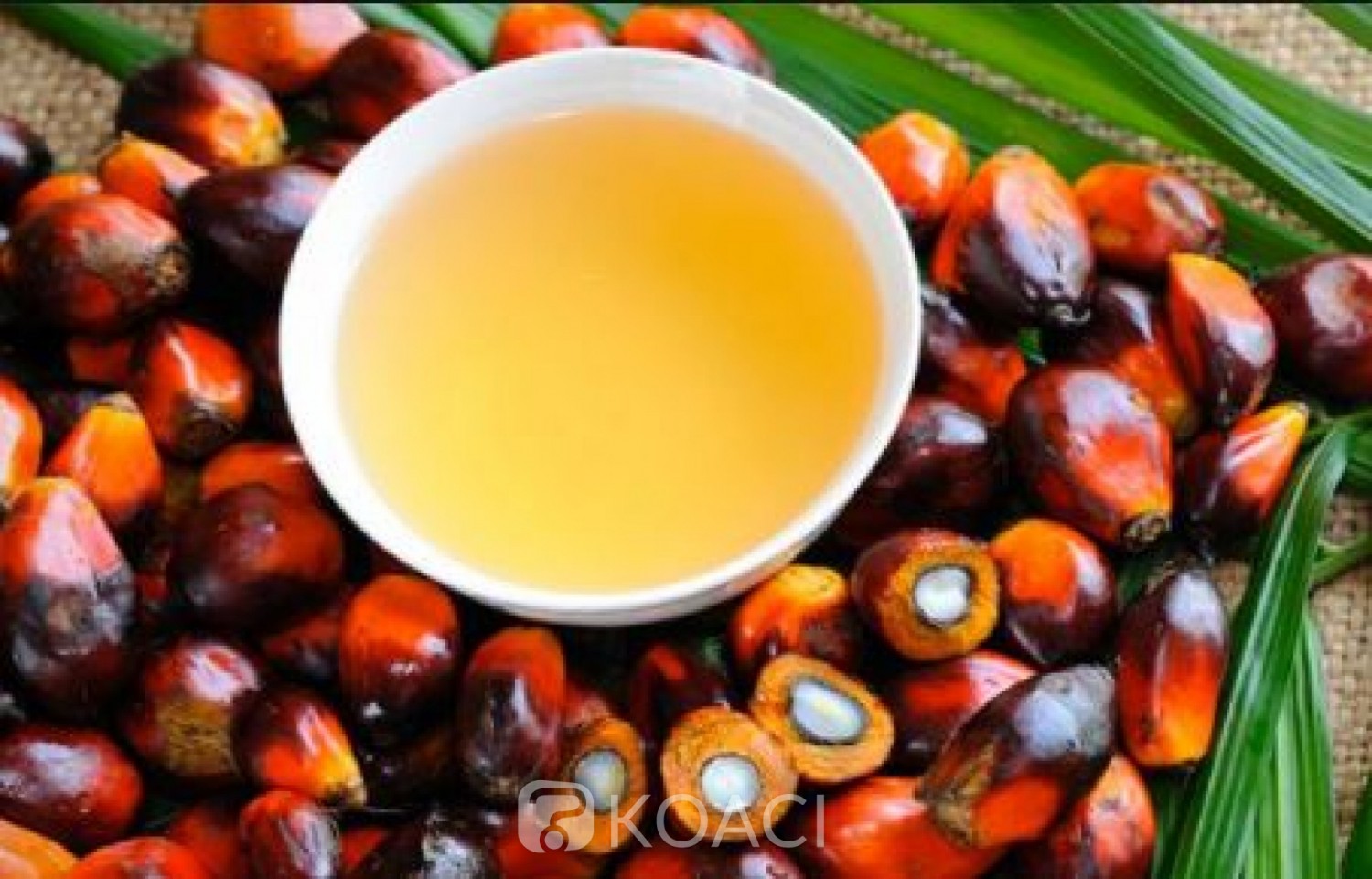 Côte d'Ivoire : Le Ministère du Commerce justifie l'augmentation du    prix de l'huile de palme sur le marché et rassure les consommateurs